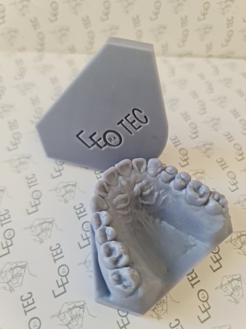 Modelo Dental 3D Vista Superior